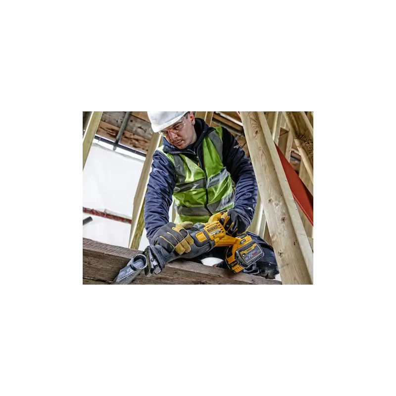 Scie alternative Dewalt 54V