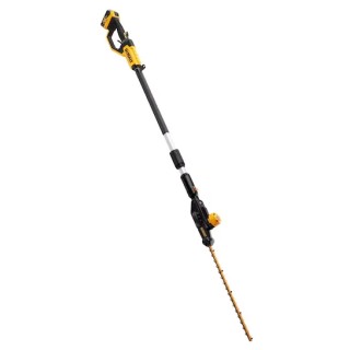 Dewalt Tagliasiepi Su Asta Di Prolunga XR 18V - 5.0Ah