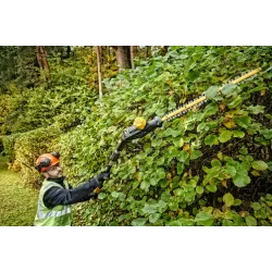 Dewalt Tagliasiepi Su Asta Di Prolunga XR 18V - 5.0Ah