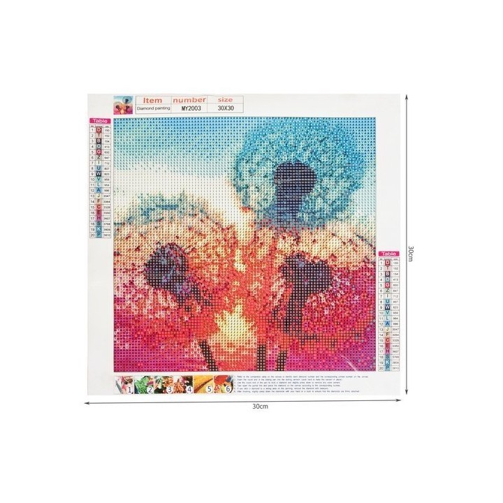 Mosaico fai da te pittura diamante h16212