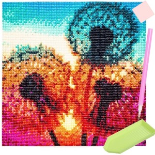 Mosaico fai da te pittura diamante h16212