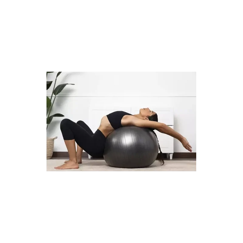 Palla da ginnastica 65cm con pompa trizand 19182