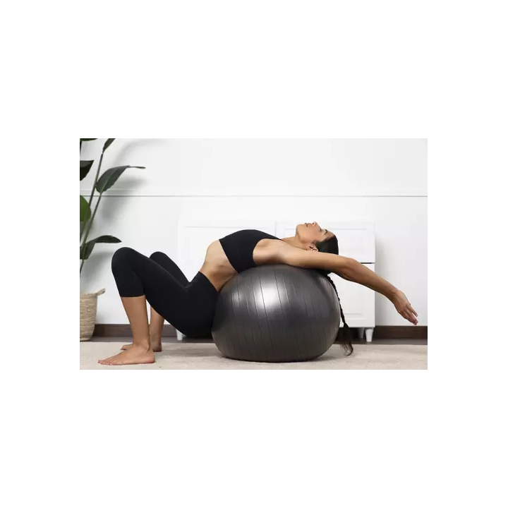 Palla da ginnastica 65cm con pompa trizand 19182