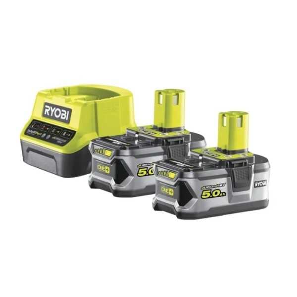 Kit Batterie Et Chargeur 18 V (2x 5,0 Ah)