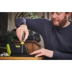 Jeu de tournevis Ryobi