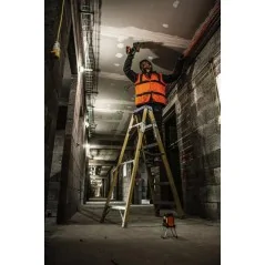 Aeg Livella laser Verde - 3 linee + piombo Aeg Livella laser Verde - 3 linee + piombo