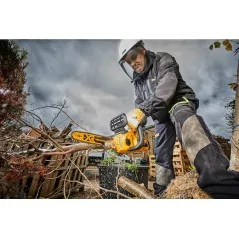 Dewalt Elettrosega Brushless 18V XR 30cm - Unità Senza Batteria E Caricabatterie