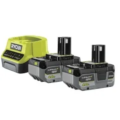 2 batteries Lithium 4,0 Ah + et chargeur