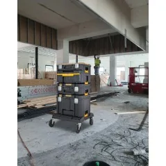 Dewalt Mallette Profonde