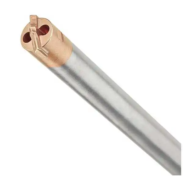 Embout creux Dewalt SDS Plus