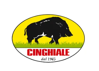 PENNELLI CINGHIALE